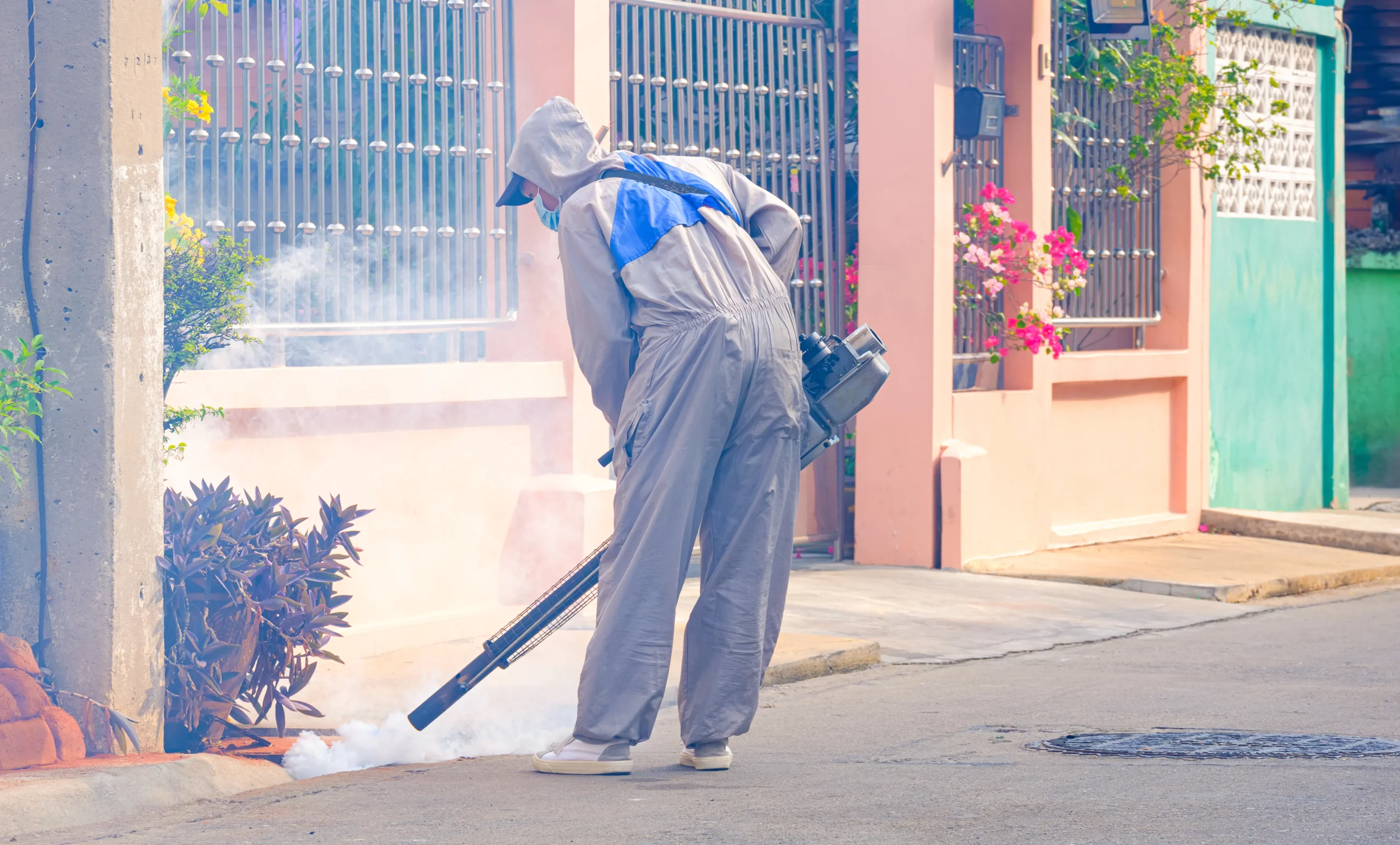 Fumigación de chinches Veracruz Insectalia