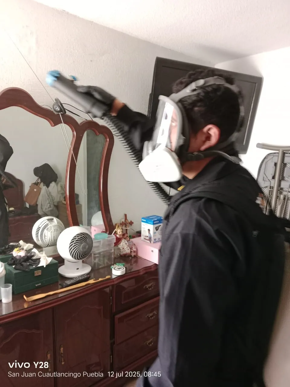 Fumigación Profesional Insectalia